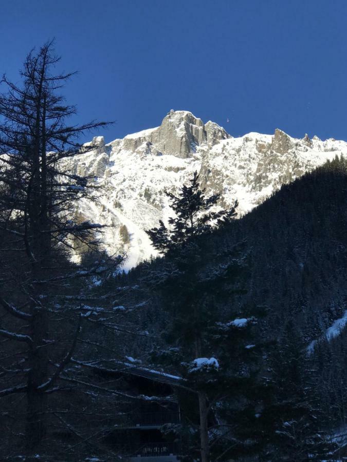 Brevent - Meleze Lägenhet Chamonix Exteriör bild