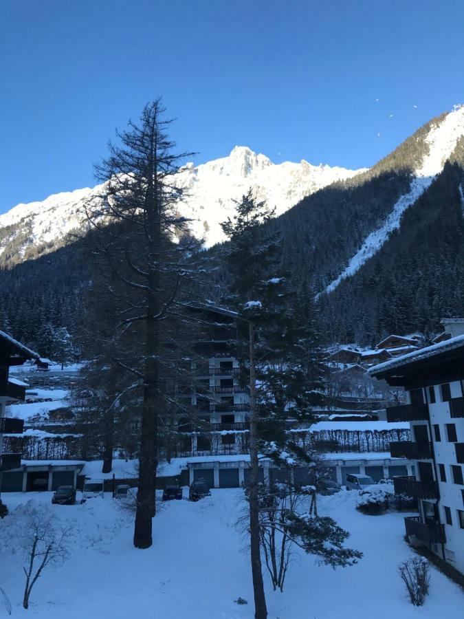 Brevent - Meleze Lägenhet Chamonix Exteriör bild