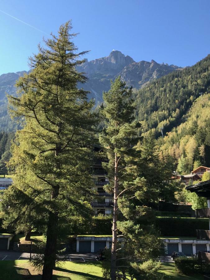 Brevent - Meleze Lägenhet Chamonix Exteriör bild